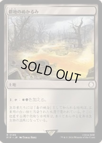 画像1: 僻地のぬかるみ/Desolate Mire《日本語》【PIP】 (1)