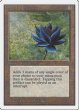 画像1: [POOR+Ink]Black Lotus《英語》【2ED】#229 (1)