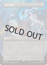 01606_jp.jpg