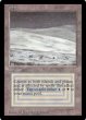 画像1: [HPLD]Tundra《英語》【LEB】#282 (1)