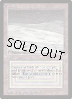 Tundra - カードラッシュ[MTG]