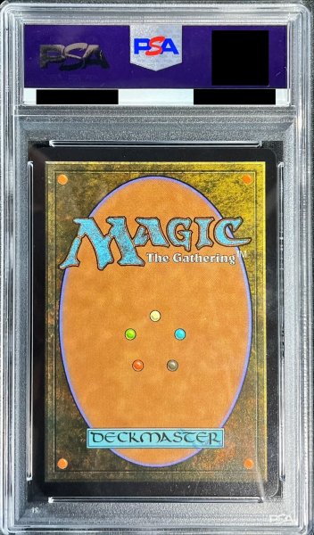 画像2: 〔PSA10鑑定済〕(ネオンピンクFOIL)旅するチョコボ/Traveling Chocobo《英語》【FIN】 (2)