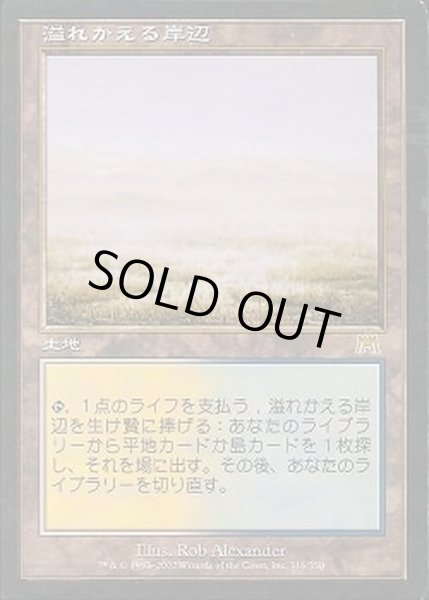 画像1: [PLD]溢れかえる岸辺/Flooded Strand《日本語》【ONS】 (1)