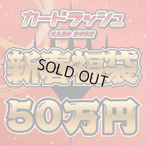 画像1: 【予約販売】★超豪華50万円福袋★《-》【-】 (1)