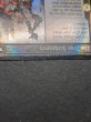 画像12: [EX+](ダブルレインボウFOIL)シェオルドレッド/Sheoldred《英語》【MOM】 (12)