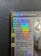 画像8: [EX+](ダブルレインボウFOIL)シェオルドレッド/Sheoldred《英語》【MOM】 (8)