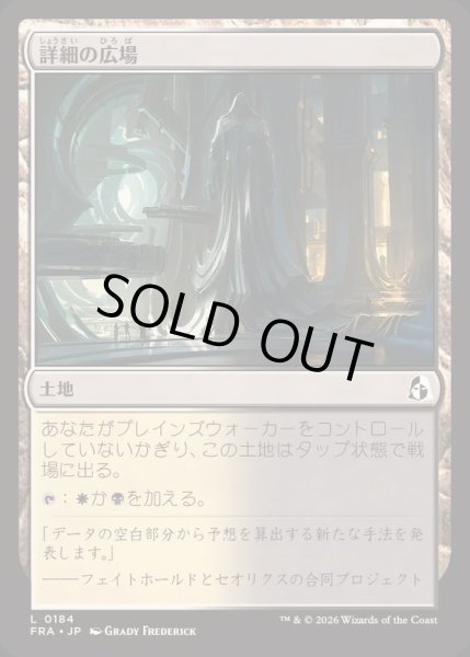 画像1: 詳細の広場/Meticulous Commons《日本語》【FRA】 (1)