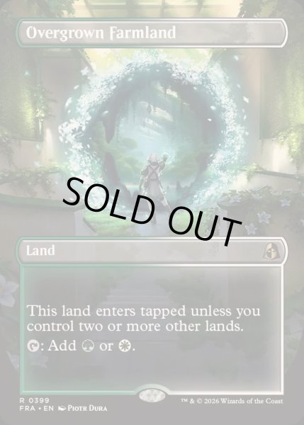 画像1: [EX+](FOIL)(フルアート)草茂る農地/Overgrown Farmland《英語》【FRA】 (1)
