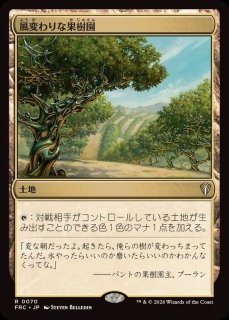 EX+]シヴの浅瀬/Shivan Reef《日本語》【FRC】