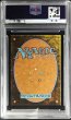 画像2: 〔PSA10鑑定済〕(レイズドFOIL)風冠の者、ケストラル/Kastral, the Windcrested《英語》【BLB】 (2)