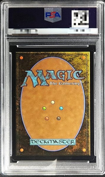 画像2: 〔PSA10鑑定済〕(レイズドFOIL)風冠の者、ケストラル/Kastral, the Windcrested《英語》【BLB】 (2)