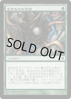 古きものの活性/Ancient Stirrings - カードラッシュ[MTG]