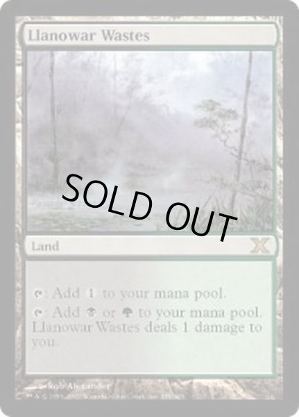 画像1: [EX+]ラノワールの荒原/Llanowar Wastes《英語》【10E】 (1)