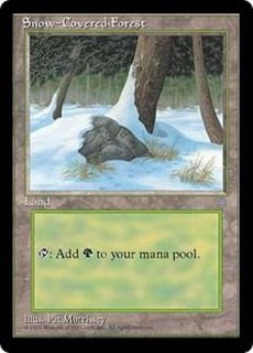 ☆基本土地☆ - カードラッシュ[MTG]