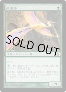 極楽鳥/Birds of Paradise - カードラッシュ[MTG]