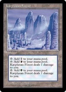 初祖スリヴァー 未来枠 英語 foil - メルカリ