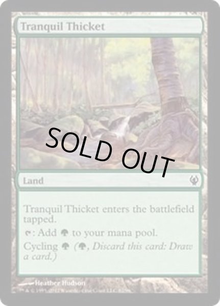 画像1: [EX+]平穏な茂み/Tranquil Thicket《英語》【Duel Decks: Izzet vs. Golgari】 (1)