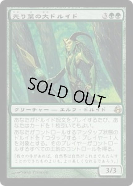 画像1: [EX+]光り葉の大ドルイド/Gilt-Leaf Archdruid《日本語》【MOR】 (1)