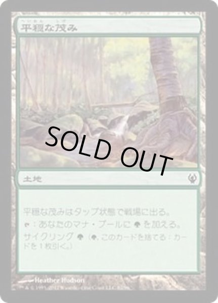 画像1: 平穏な茂み/Tranquil Thicket《日本語》【Duel Decks: Izzet vs. Golgari】 (1)