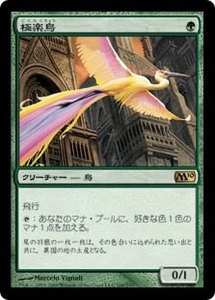 画像1: 極楽鳥/Birds of Paradise《日本語》【M10】 (1)