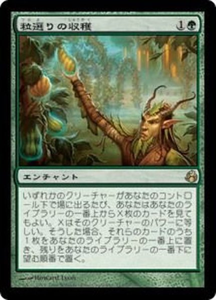 画像1: [EX+]粒選りの収穫/Cream of the Crop《日本語》【MOR】 (1)
