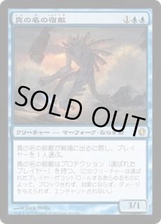 真の名の宿敵 - カードラッシュ[MTG]