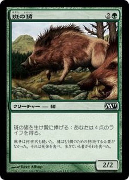 画像1: [EX+]斑の猪/Brindle Boar《日本語》【M11】 (1)