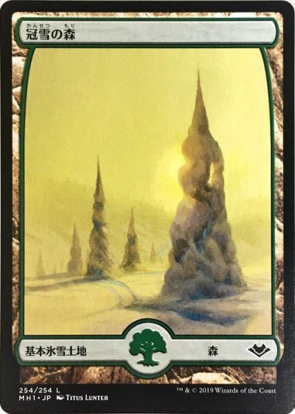 画像1: [EX](FOIL)冠雪の森/Snow-Covered Forest《日本語》【MH1】 (1)