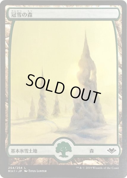 画像1: [EX](FOIL)冠雪の森/Snow-Covered Forest《日本語》【MH1】 (1)