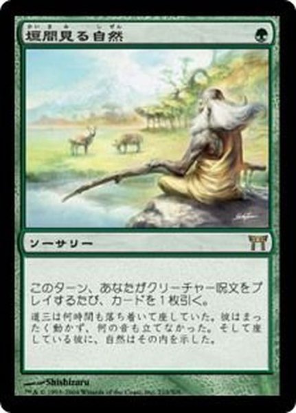 画像1: [EX]垣間見る自然/Glimpse of Nature《日本語》【CHK】 (1)