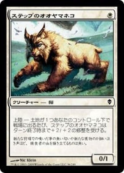 画像1: ステップのオオヤマネコ/Steppe Lynx《日本語》【ZEN】 (1)