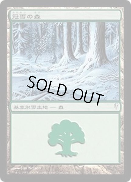 画像1: 冠雪の森/Snow-Covered Forest《日本語》【CSP】 (1)