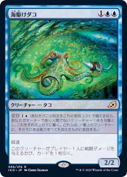 画像1: (FOIL)海駆けダコ/Sea-Dasher Octopus《日本語》【IKO】 (1)
