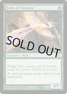 極楽鳥/Birds of Paradise - カードラッシュ[MTG]