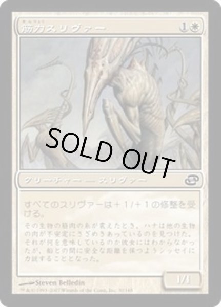 画像1: 筋力スリヴァー/Sinew Sliver《日本語》【PLC】 (1)
