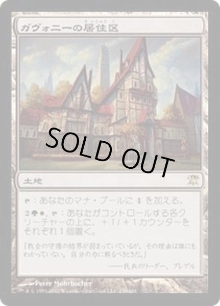 画像1: [EX+]ガヴォニーの居住区/Gavony Township《日本語》【ISD】 (1)