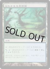 EX+]溢れかえる果樹園/Flooded Grove《日本語》【EVE】