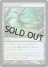 EX]溢れかえる果樹園/Flooded Grove《英語》【EVE】