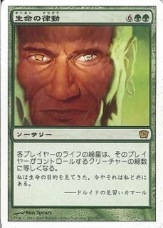 MTG 基本セット第9版日本語FOILコンプセット　350枚 MTG 基本セット第9版日本語FOILコンプセット 350枚 【公式通販】