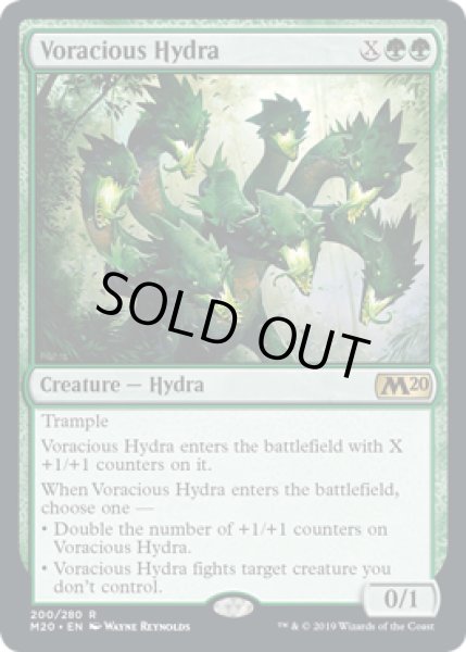 画像1: [EX+](FOIL)大食のハイドラ/Voracious Hydra《英語》【M20】 (1)