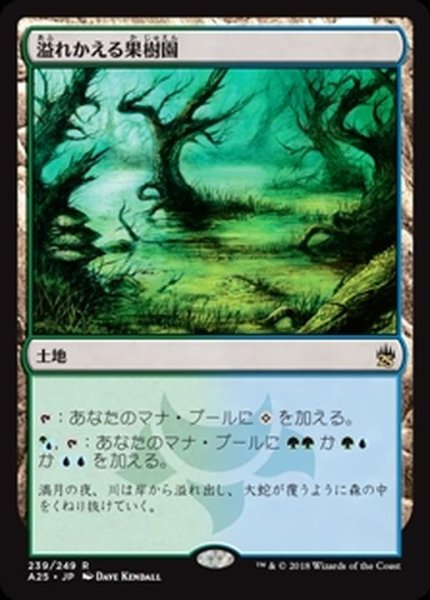 画像1: [EX+]溢れかえる果樹園/Flooded Grove《日本語》【A25】 (1)