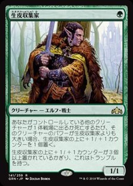 画像1: (FOIL)生皮収集家/Pelt Collector《日本語》【GRN】 (1)