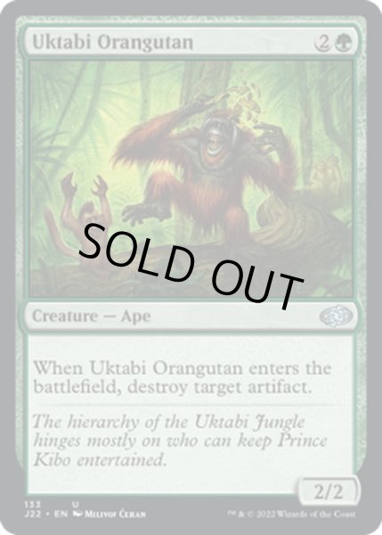 画像1: ウークタビー・オランウータン/Uktabi Orangutan《英語》【J22】 (1)