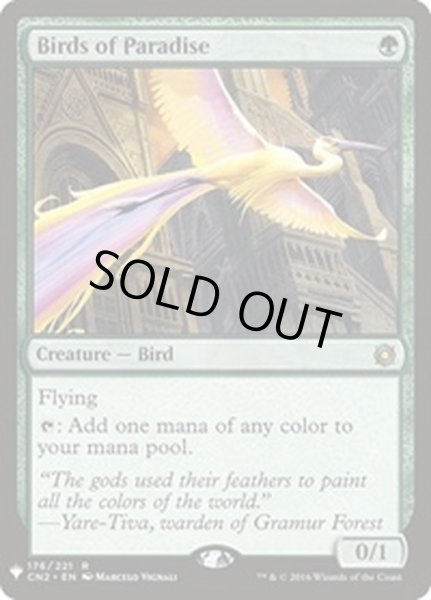 画像1: 極楽鳥/Birds of Paradise《英語》【Reprint Cards(Mystery Booster)】 (1)