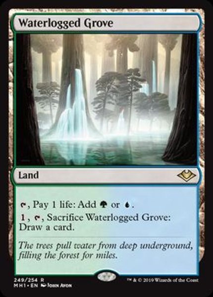 画像1: [EX+](FOIL)冠水樹林帯/Waterlogged Grove《英語》【MH1】 (1)