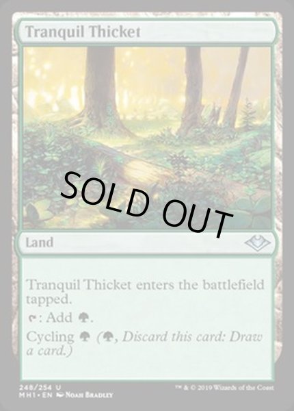画像1: [EX+](FOIL)平穏な茂み/Tranquil Thicket《英語》【MH1】 (1)