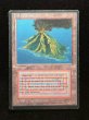 画像2: [HPLD](インク)Volcanic Island《イタリア語》【3ED(FBB)】#311 (2)