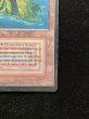 画像6: [HPLD](インク)Volcanic Island《イタリア語》【3ED(FBB)】#311 (6)
