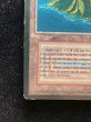 画像5: [PLD](インク)Volcanic Island《イタリア語》【3ED(FBB)】#312 (5)