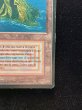 画像6: [PLD](インク)Volcanic Island《イタリア語》【3ED(FBB)】#312 (6)